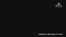 Indlæs og afspil video i gallerivisning Royal Valdemar Atterdag Compound 77 shot
